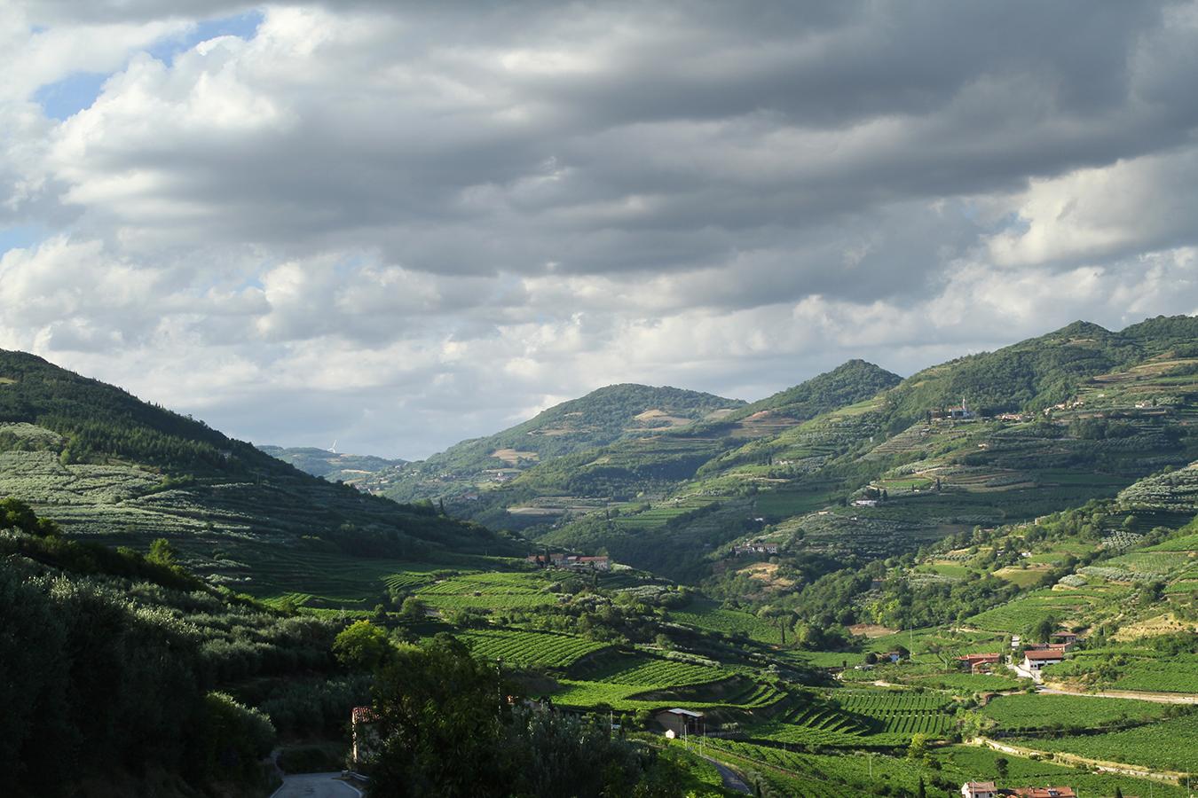 Di Cazzano - Bioluxury Living