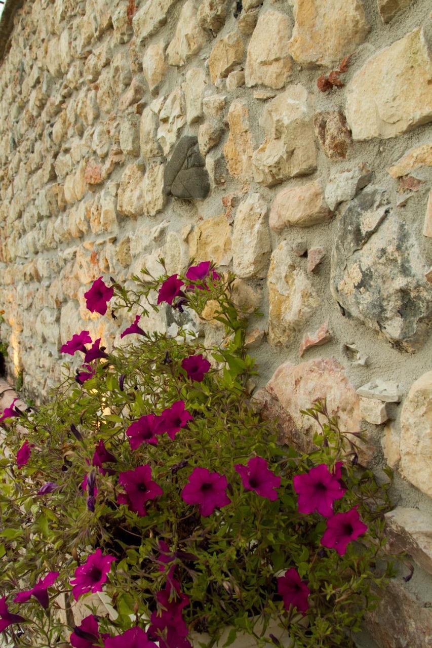 Di Cazzano - Bioluxury Living
