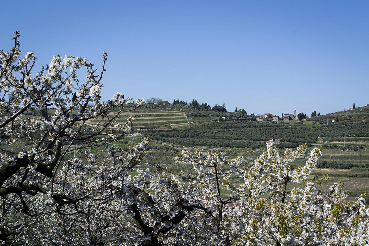 Di Cazzano - Bioluxury Living Casa de hóspedes 3*